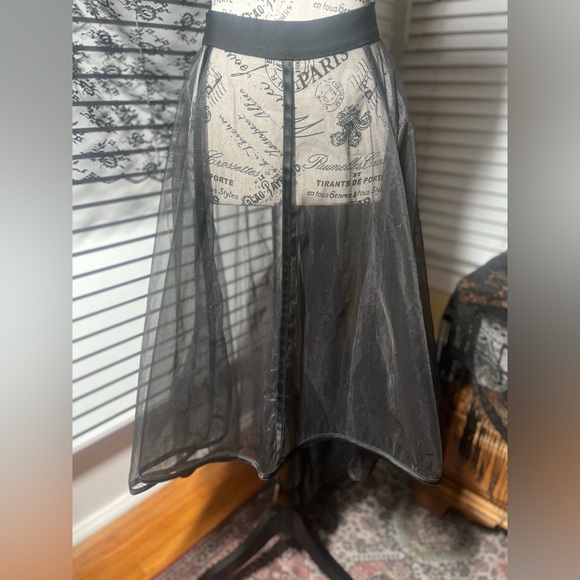 Vintage “Cathrine Coatney” Sheer Boned Skirt